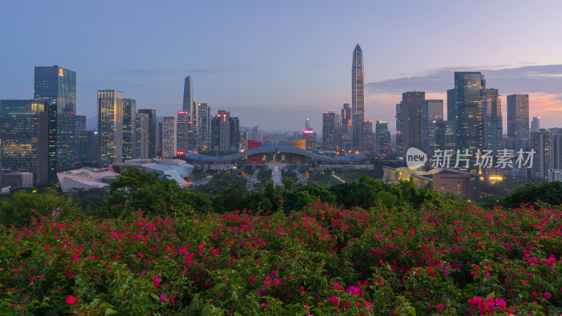 广东深圳莲花山市民中心城市天际线