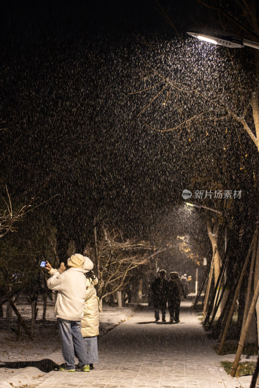 夜晚行人雪中拍照场景
