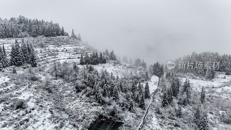 重庆酉阳：大雪纷飞赏雪忙