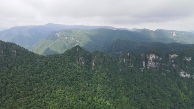 航拍湖北神农架天燕景区4A景区