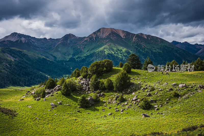 川西格聂草原自然风景