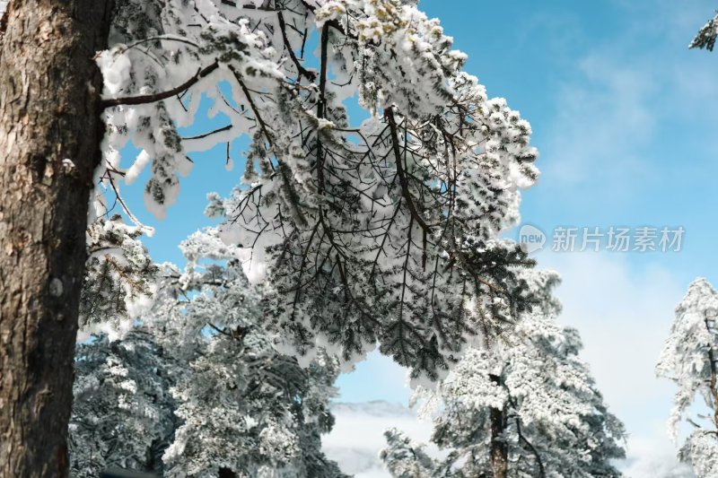 大山披雪装，冰雪盛景韵悠长