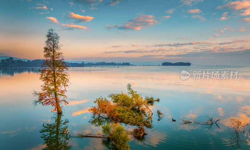 滇池湿地秋景