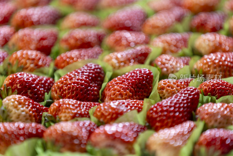 切开的高品质水果草莓