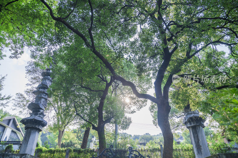 杭州凤凰山古梵天寺经幢遗址