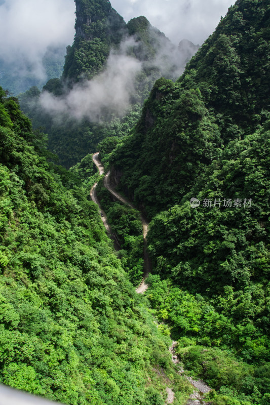 湖南张家界天门山云雾缭绕的山路奇观
