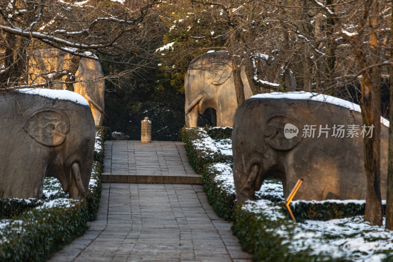 南京明孝陵石象路神道雪景