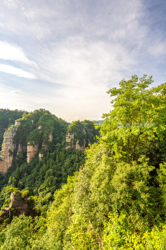 中国湖南张家界景区奇特山峰与茂密森林