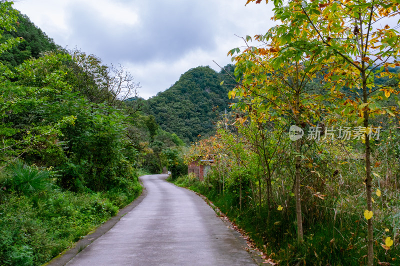 汉中留坝火烧店镇秦岭深处的山中小路