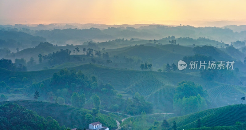 茶园茶山美丽乡村