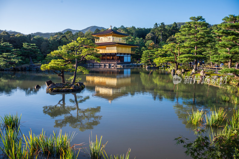 日本京都金阁寺金色舍利殿近景特写