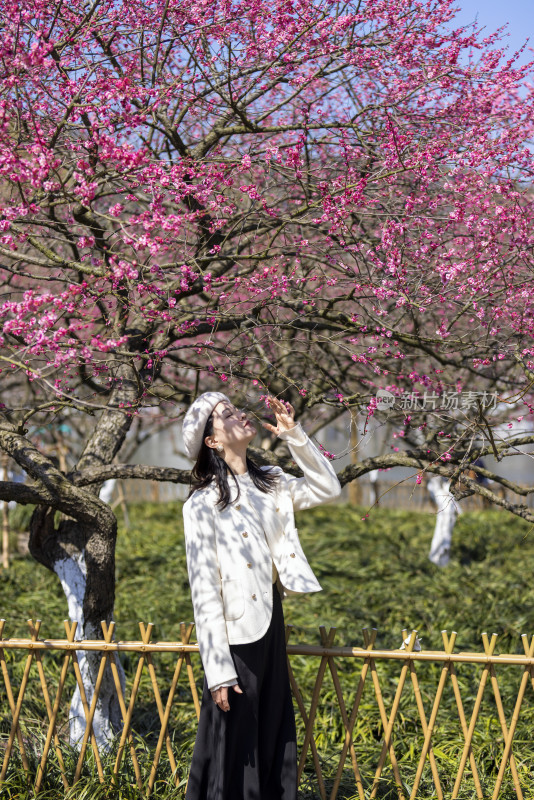 年轻女子春天踏青踏春赏花赏梅梅花