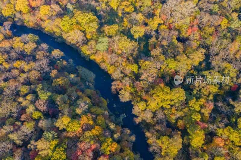 秋季森林与河流
