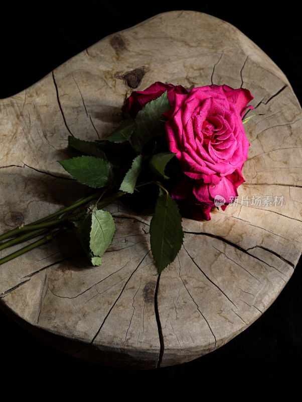 木制板子上的红色玫瑰花