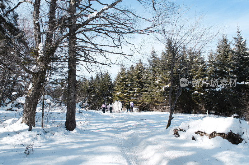 长白山雪岭冬日风光