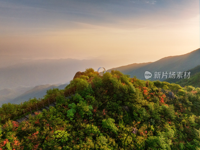 长沙市浏阳大围山杜鹃花海风光