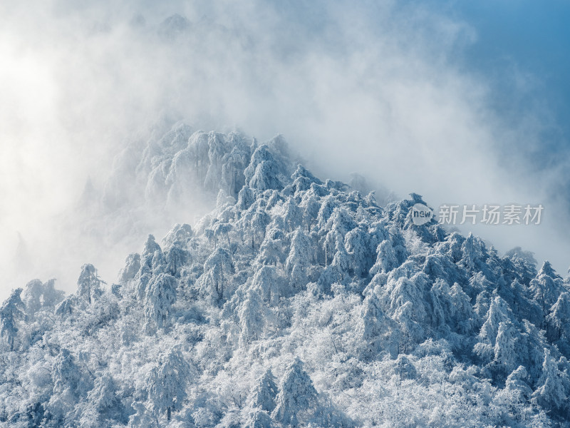 杭州临安冬季森林雪景云雾