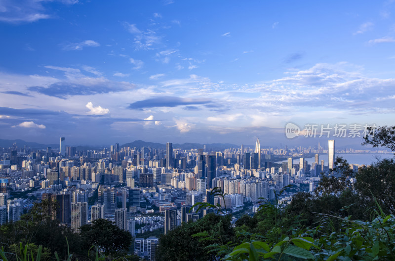 深圳南山公园望城市CBD摩天大楼建筑全景