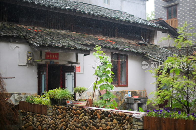 雨后乡村的宁静