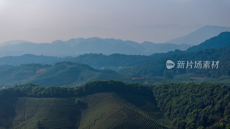 航拍杭州龙坞茶园 茶山 茶田