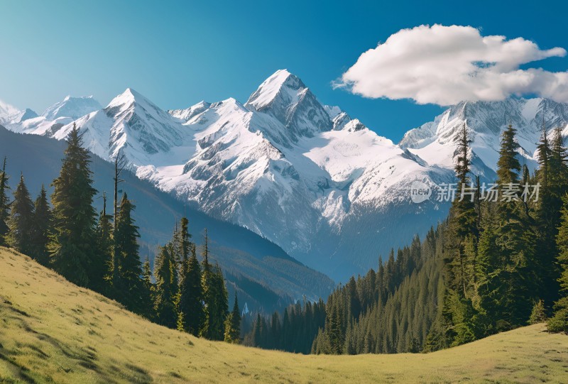 雪山高原草原森林风景