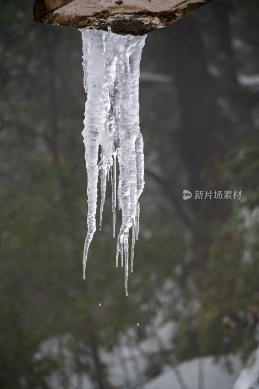 四川眉山瓦屋山景区晶莹剔透的冰垂