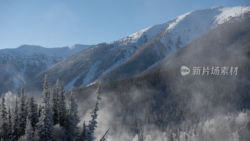 新疆森林大山雪景