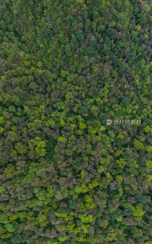 西藏林芝莲花圣地墨脱热带雨林云雾高空航拍