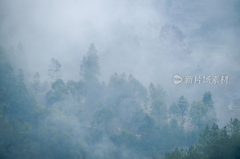 重庆酉阳：雾锁山峦神仙境