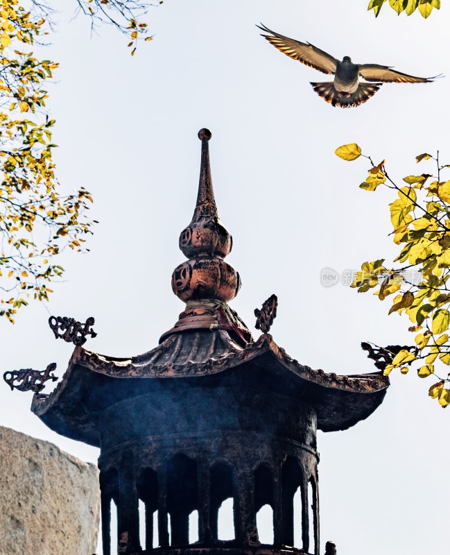 峄山古建筑顶飞鸟与黄叶景观