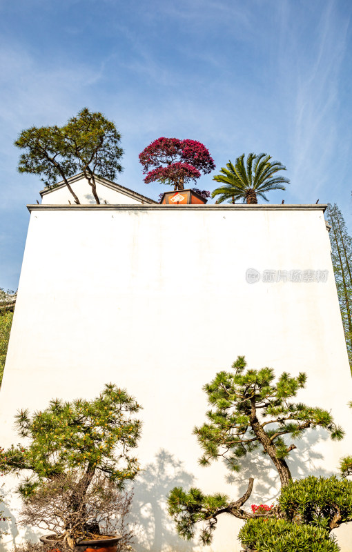 上海徐汇龙华寺自然建筑景观龙华寺塔