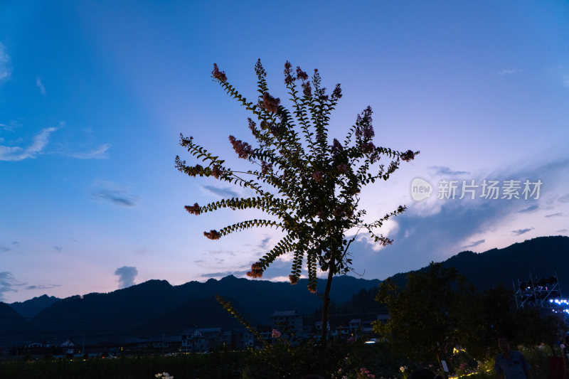 自然风光日落晚霞夕阳延时天空乡村农村自然