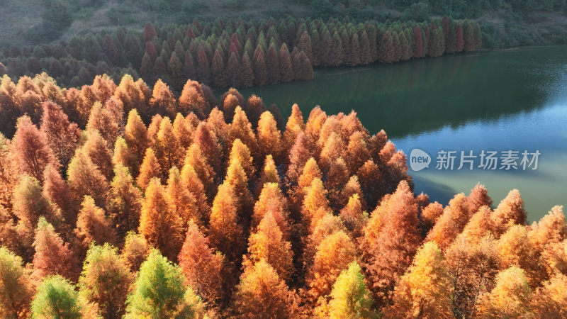 昆明寻甸三月三：色彩斑斓  冬景如画