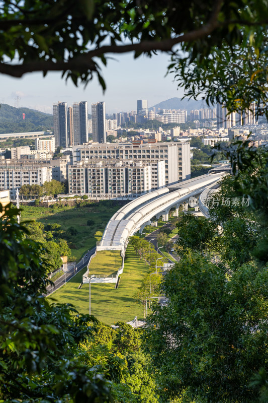 深圳圳美地铁站，地铁线路