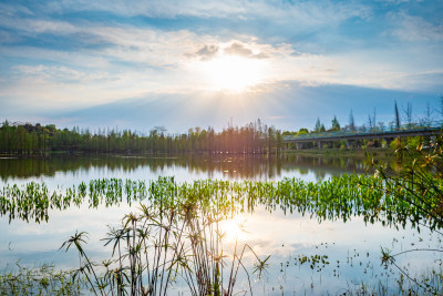 日落时的湖景