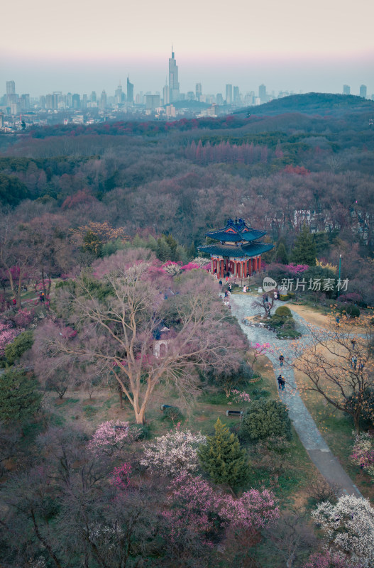 城市公园中式建筑与繁花景观