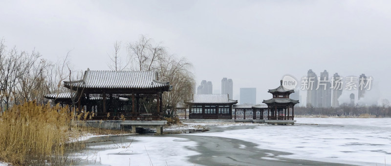 天津市水西公园 冬天雪景