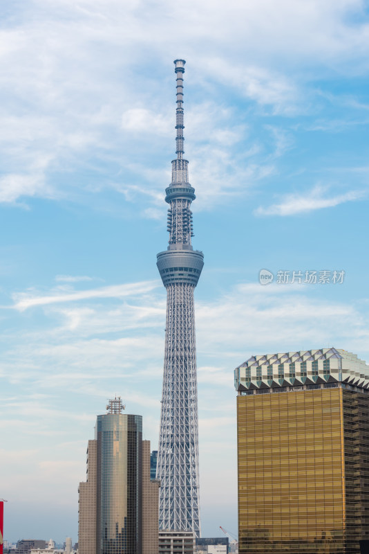 日本东京著名地标建筑东京天空树晴空塔