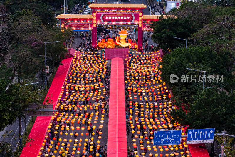 深圳花市爱国路花市