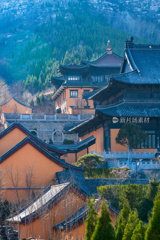 青州广福寺春景