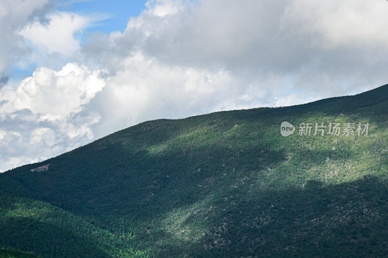 高原山地森林草原