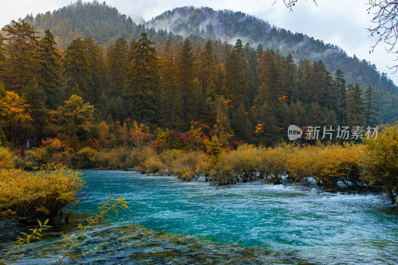 山林间的河流自然风光