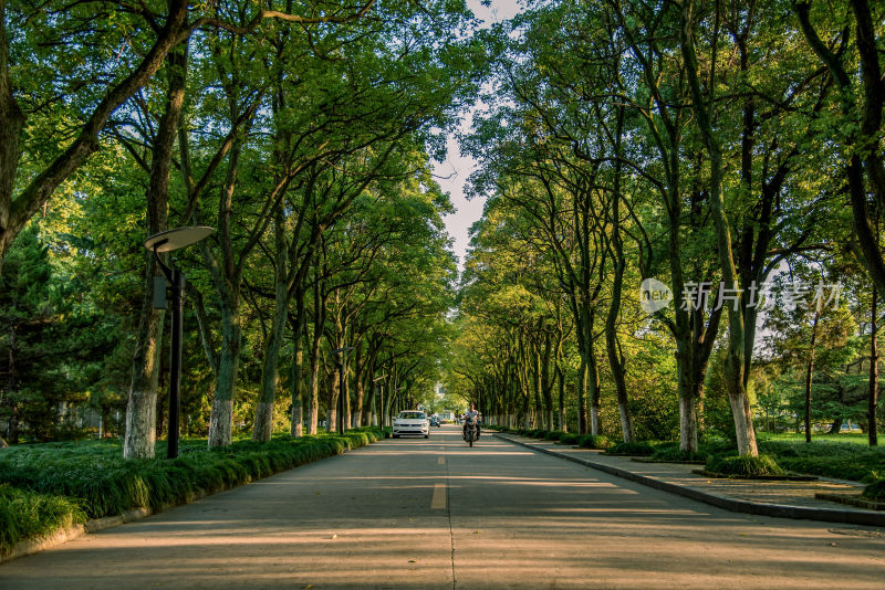 安徽省合肥市安徽大学龙河校区