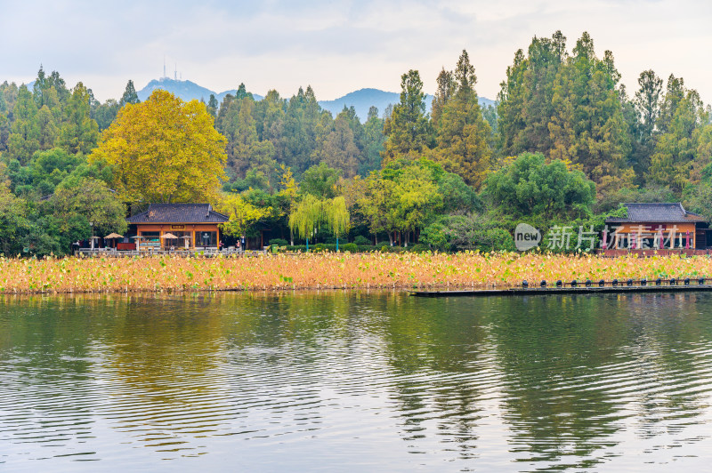 立冬杭州西湖日出朝霞水面倒影