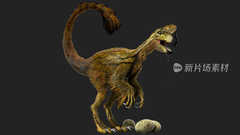 恐龙 侏罗纪 白垩纪 古生物学