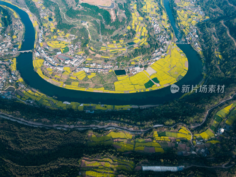 德阳旌阳区双东镇凯江大回湾油菜花风景航