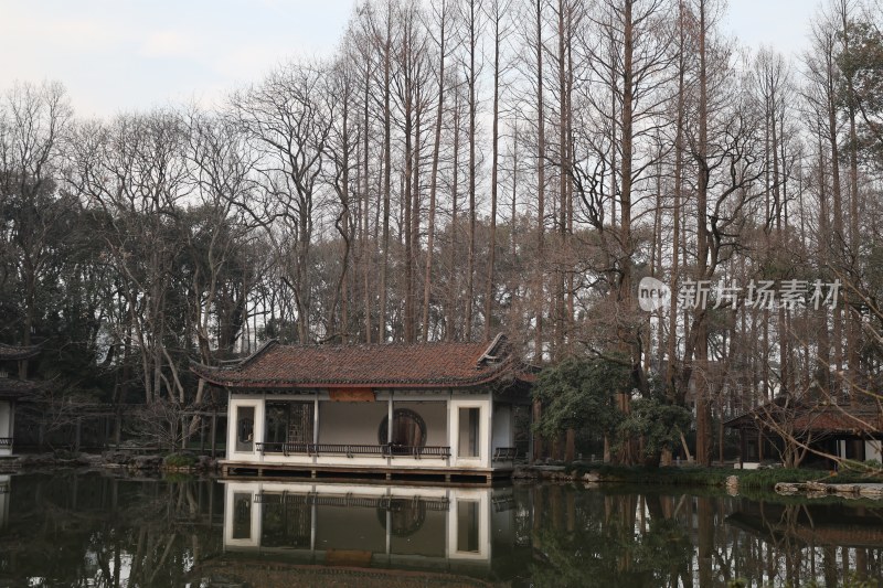 水边中式建筑与树林景观