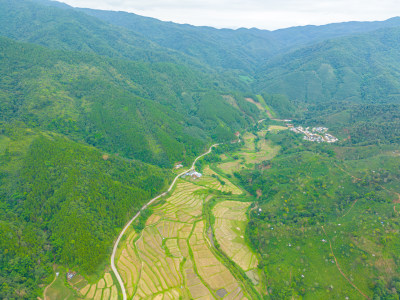 航拍农田田园风光