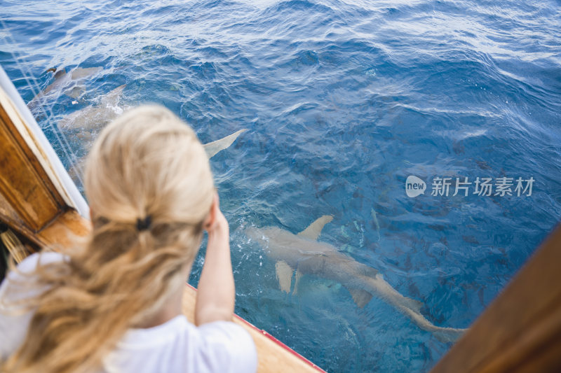 女子在船上观看海中鲨鱼