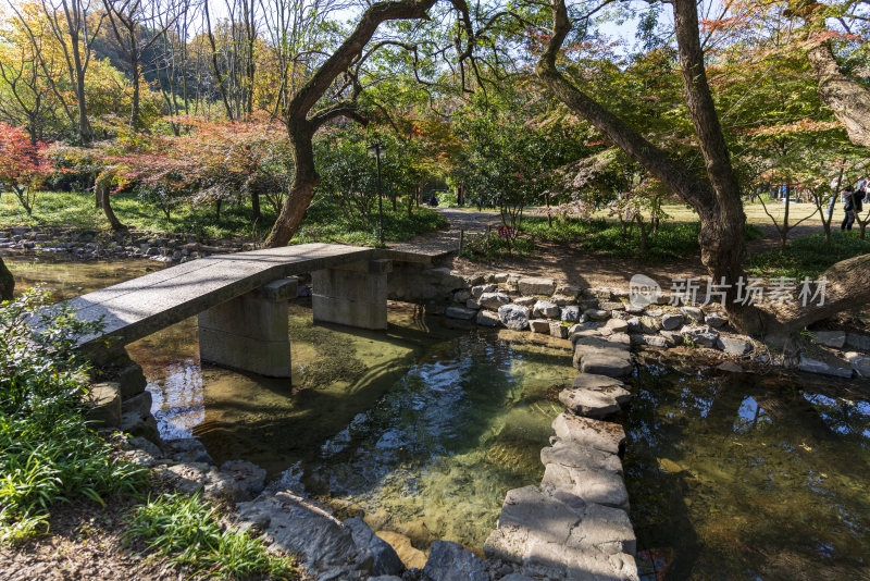 杭州西湖九溪风景区秋天风景